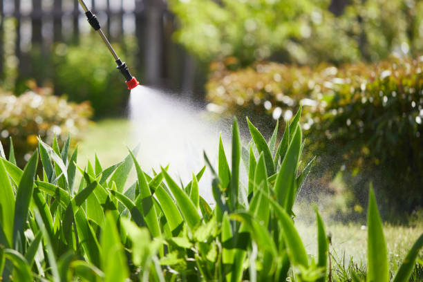 24/7 Emergency Ant Control experts in Mansfield, LA