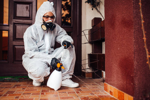 Reliable Ant Control contractor in Mansfield, LA by Show Me Pest Control